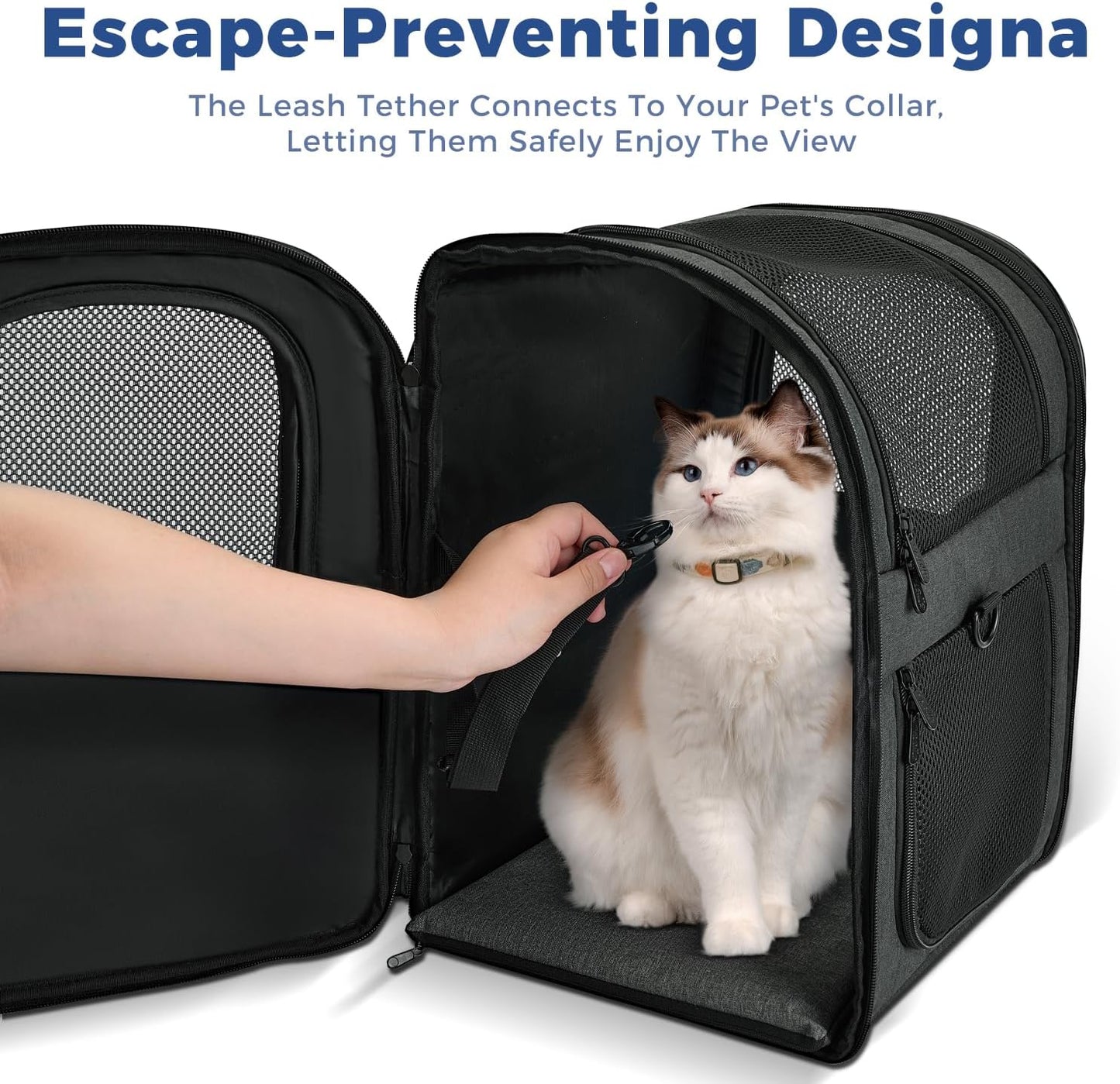 Dog & Cat Carrier Backpack for 4-15Lb Pets - Ventilated Safe Design with Padded Back Support, Breathable Mesh Pet Backpack for Hiking, Travel, Outdoor (Black)