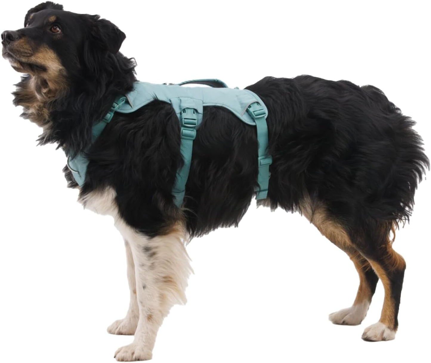 , Web Master, Multi-Use Support Dog Harness, Hiking and Trail Running, Service and Working, Everyday Wear, Basalt Gray, Large/X-Large