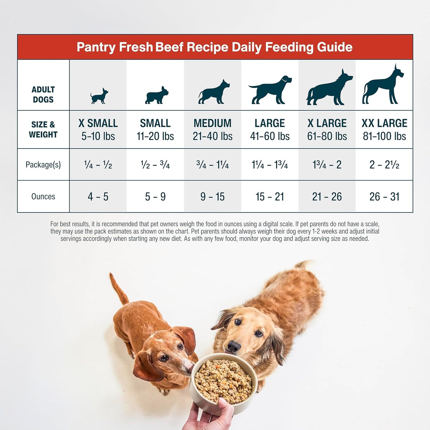 Pantry Fresh Beef & Russet Potato Wet Dog Food - Gourmet Human-Grade Complete Meal or Topper - (12.5 oz, Pack of 6)