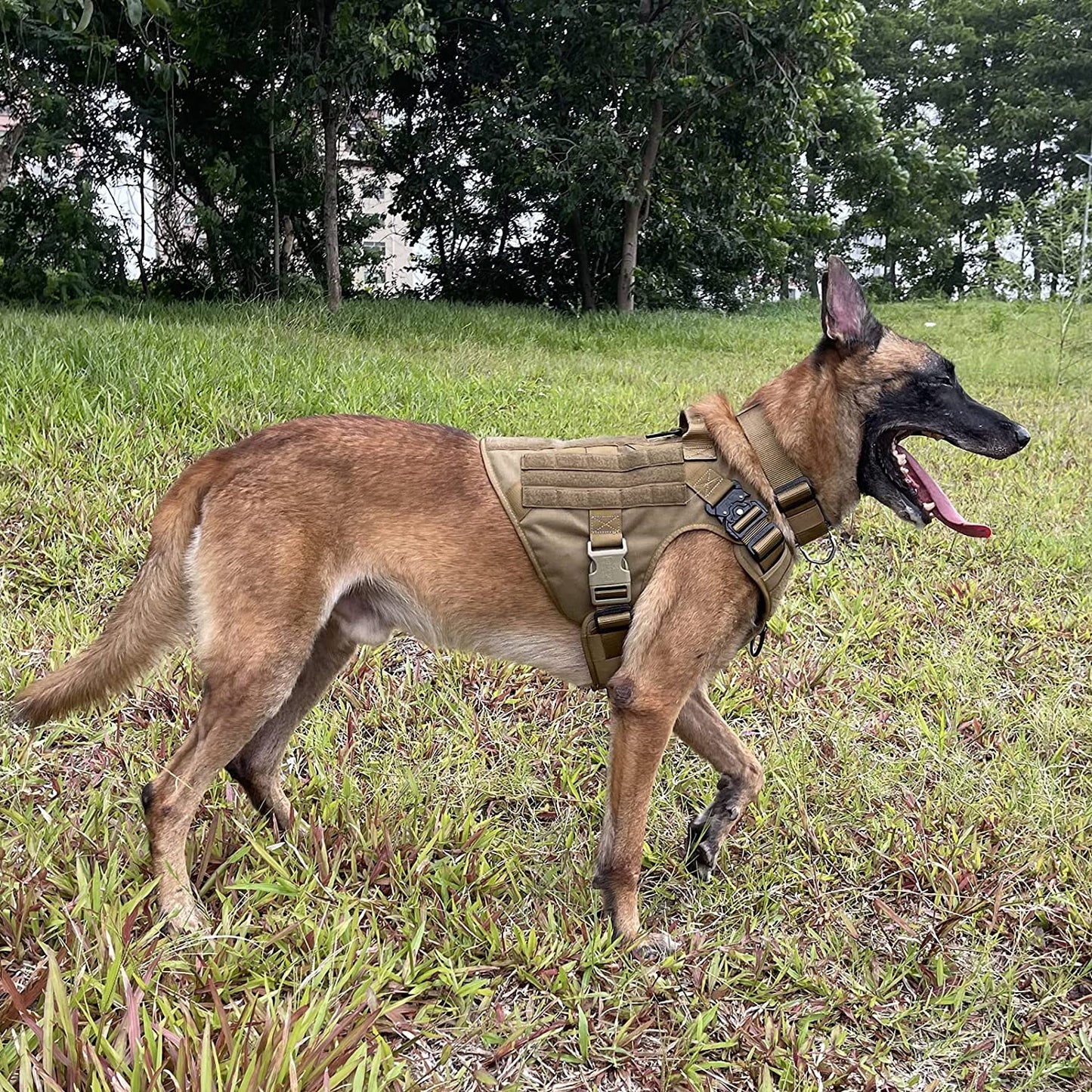 Tactical Dog Harness,X-Large Size, 2X Metal Buckle,Working Dog MOLLE Vest with Handle,No Pulling Front Leash Clip,Hook and Loop Panel