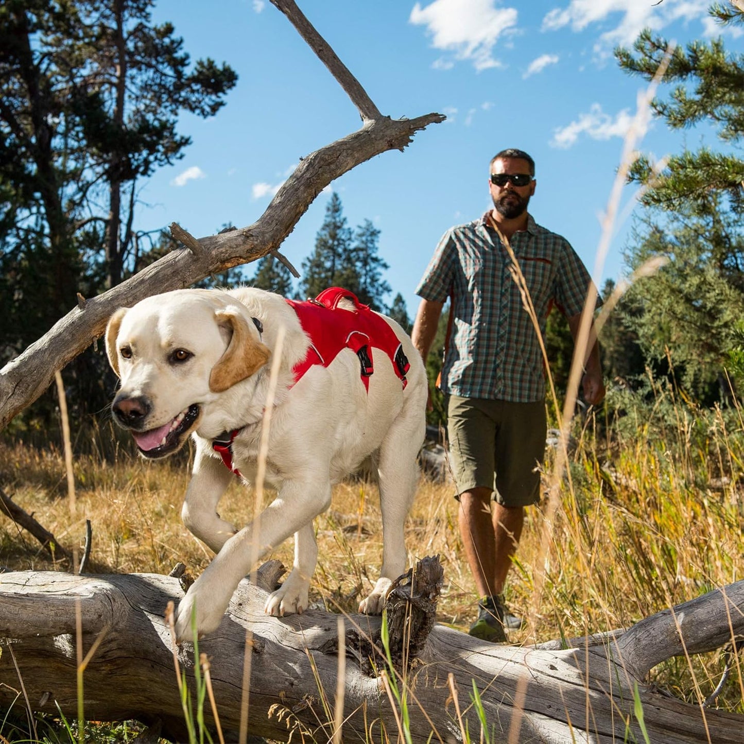 , Web Master, Multi-Use Support Dog Harness, Hiking and Trail Running, Service and Working, Everyday Wear, Twilight Gray, X-Small