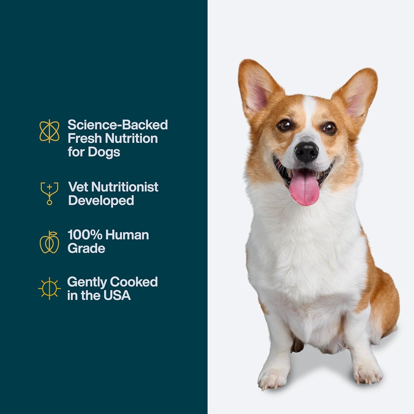 Pantry Fresh Beef & Russet Potato Wet Dog Food - Gourmet Human-Grade Complete Meal or Topper - (12.5 oz, Pack of 6)