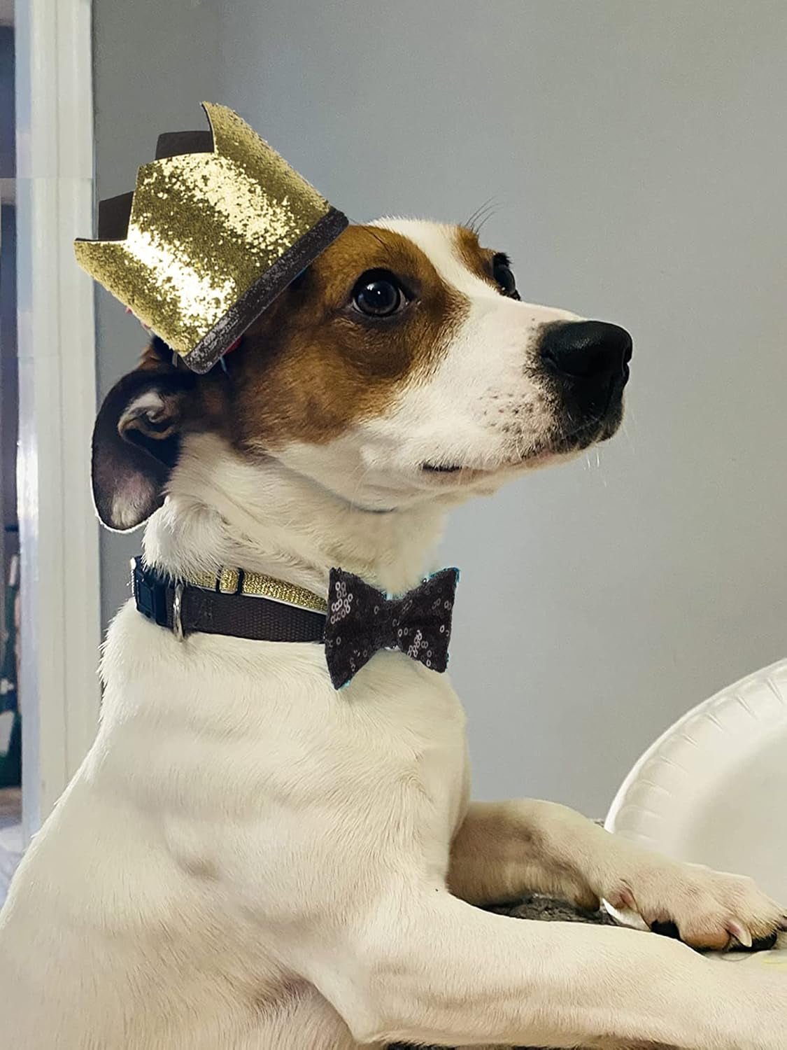 Chic Black Wedding Dog Hat and Bow Tie Set - Perfect Crown Cap & Collar for Pooch Celebrations