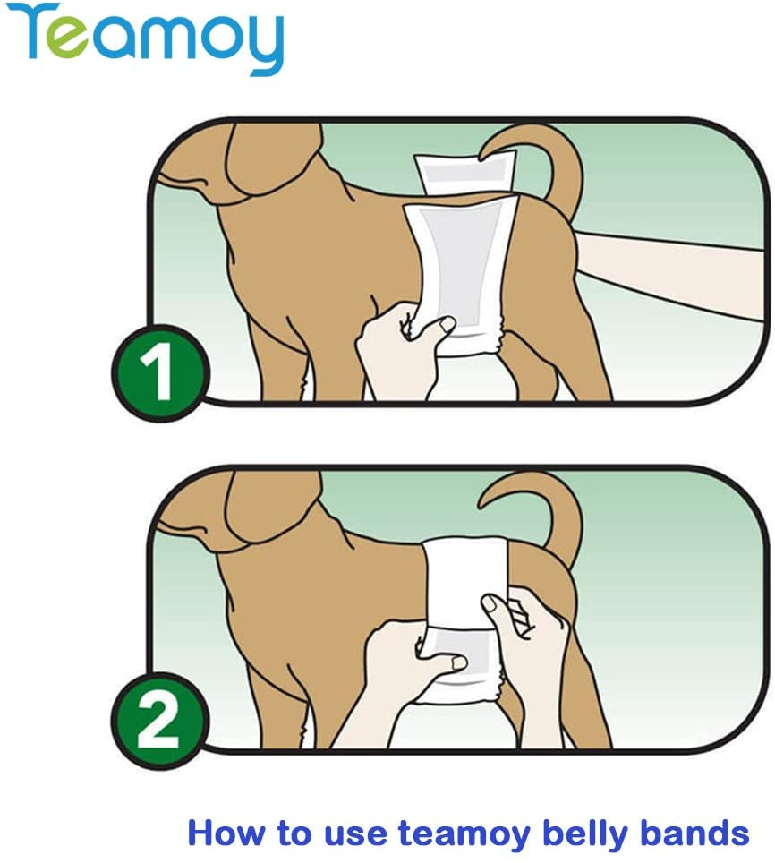 Male Dog Belly Bands Washable 4-Pack, Reusable Dog Diapers Wraps for Incontinence & Marking (XS,7"-9" Waist)