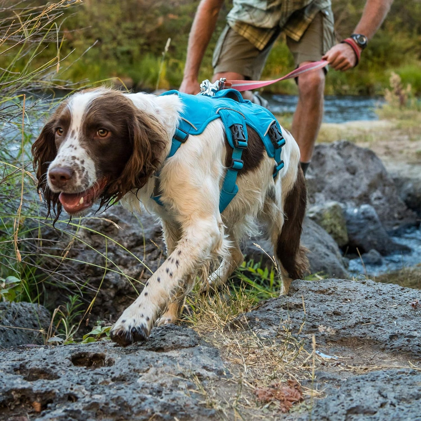 , Web Master, Multi-Use Support Dog Harness, Hiking and Trail Running, Service and Working, Everyday Wear, Twilight Gray, X-Small