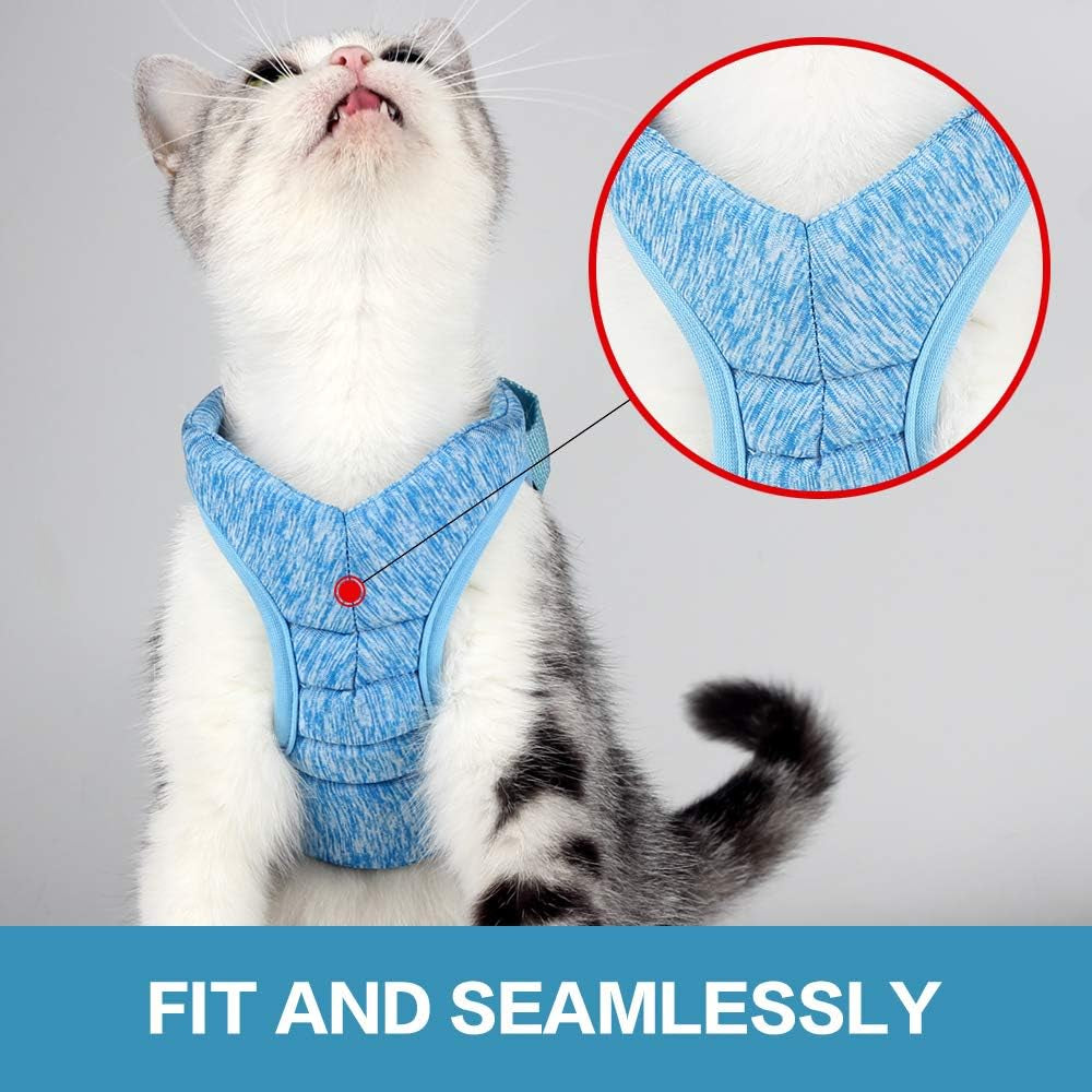 Escape-Proof Cat Harness and Leash Set - Comfortable, Breathable Soft Jacket for Outdoor Adventures (Blue, Large - Chest: 13-15 inches)