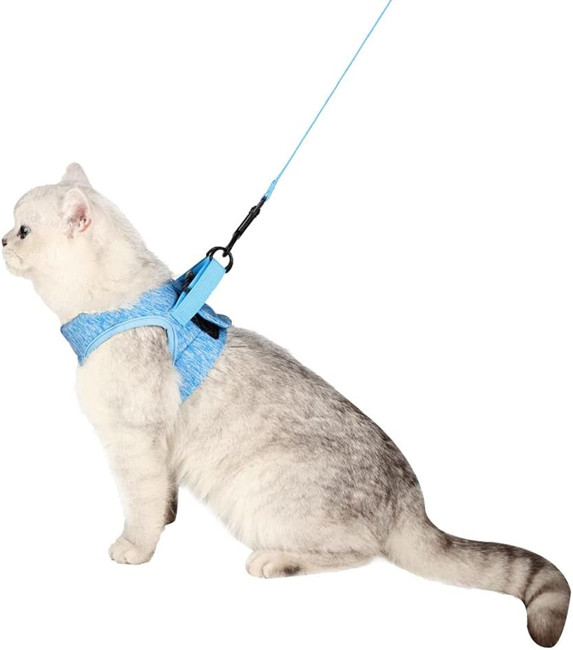 Escape-Proof Cat Harness and Leash Set - Comfortable, Breathable Soft Jacket for Outdoor Adventures (Blue, Large - Chest: 13-15 inches)