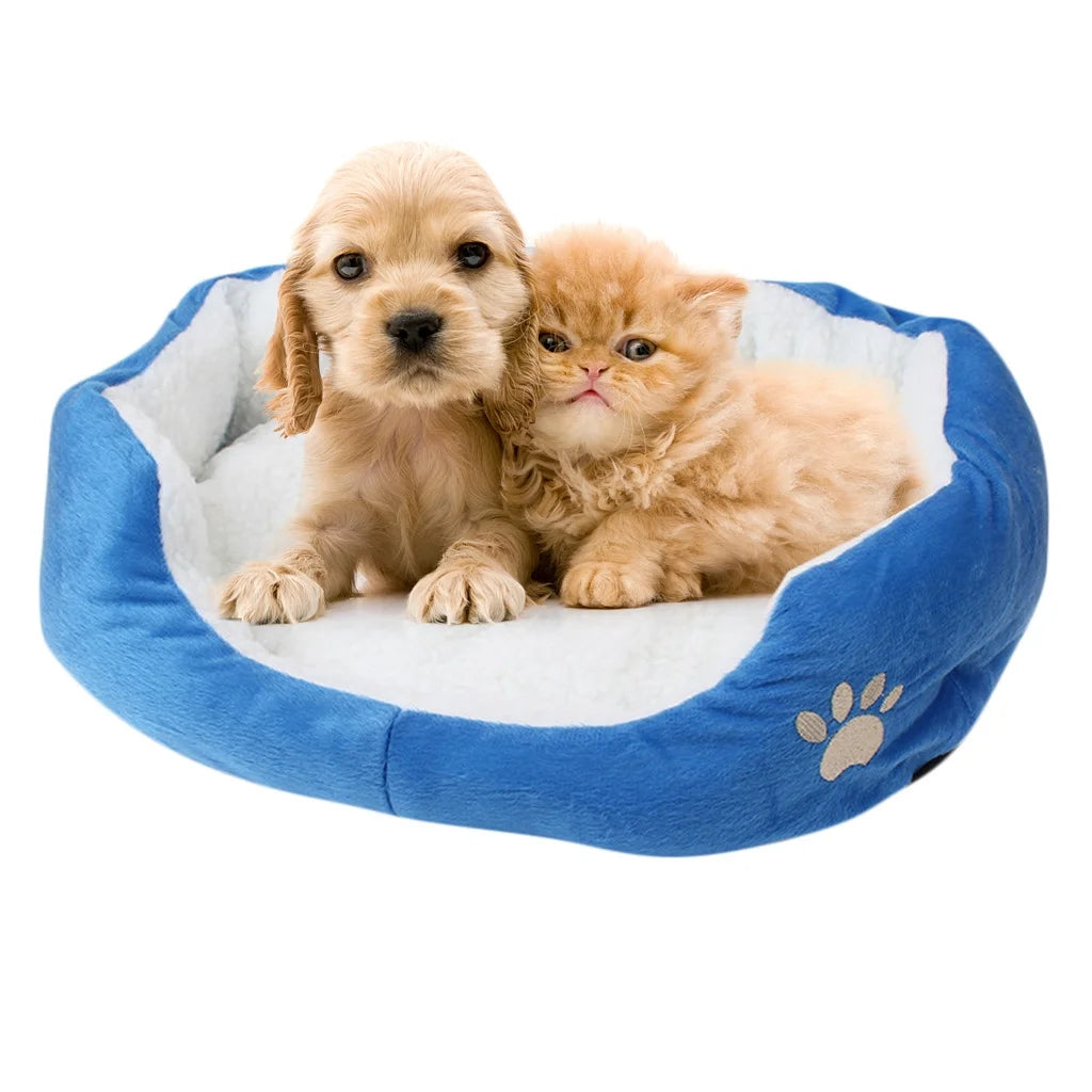 Sales Clearance Pet Bed, Self-Warming Indoor Puppy Cushion Doghouse Soft Fleece Pet Dog Cat Bed Indoor Pillow Cuddler for Small Dogs and Cats (19.68*15.75In)