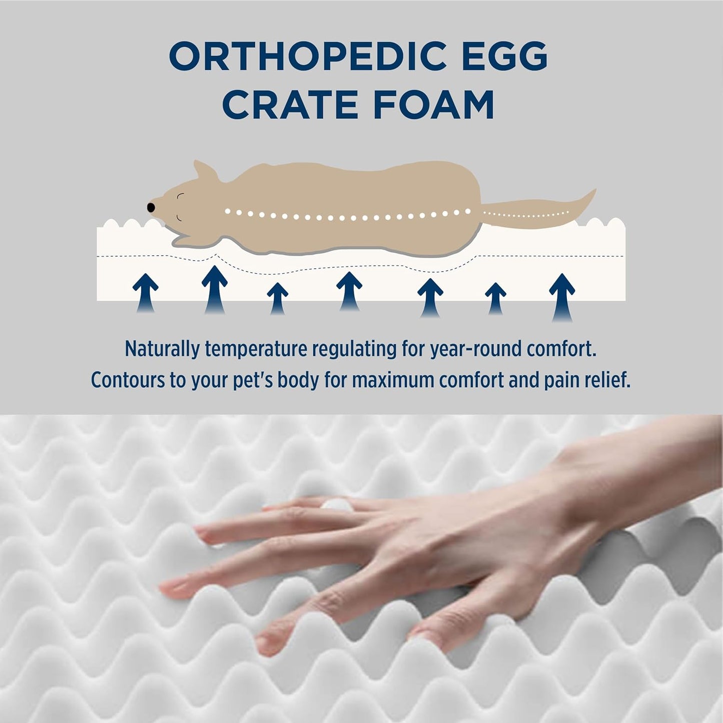 Dog Bed Medium Size Dog - Orthopedic Flat Puppy Beds with Removable Washable Cover, Egg Crate Foam Pet Mat, Suitable for Pet up to 35 Lbs