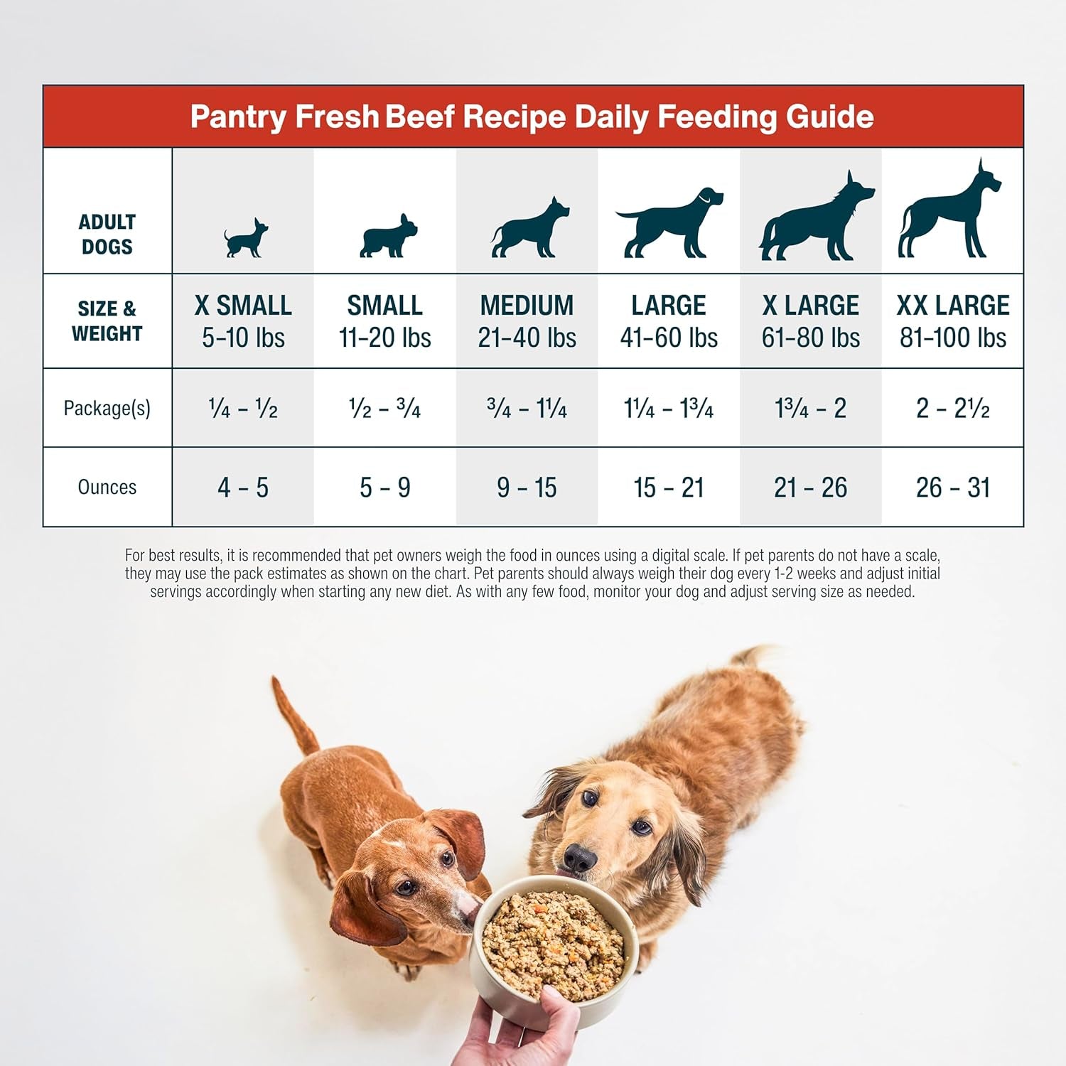 Pantry Fresh Beef & Russet Potato Wet Dog Food - Gourmet Human-Grade Complete Meal or Topper - (12.5 oz, Pack of 6)