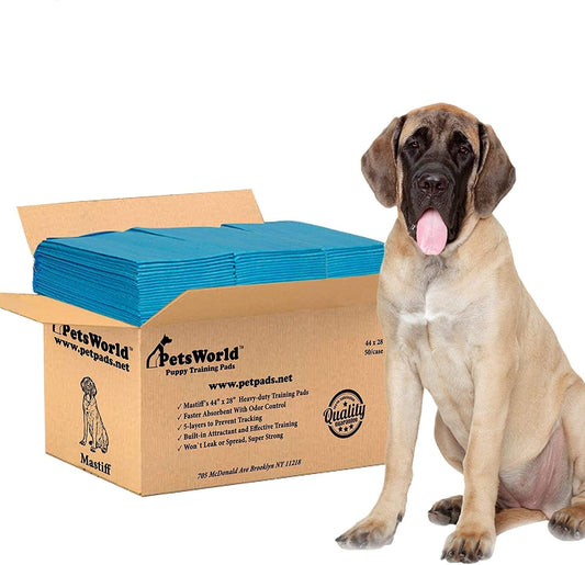 2XL Puppy Pads, 28X44 Inch, 50 Count| Ultra-Absorbent, Leak-Proof Dog Pee Pads for Potty Training