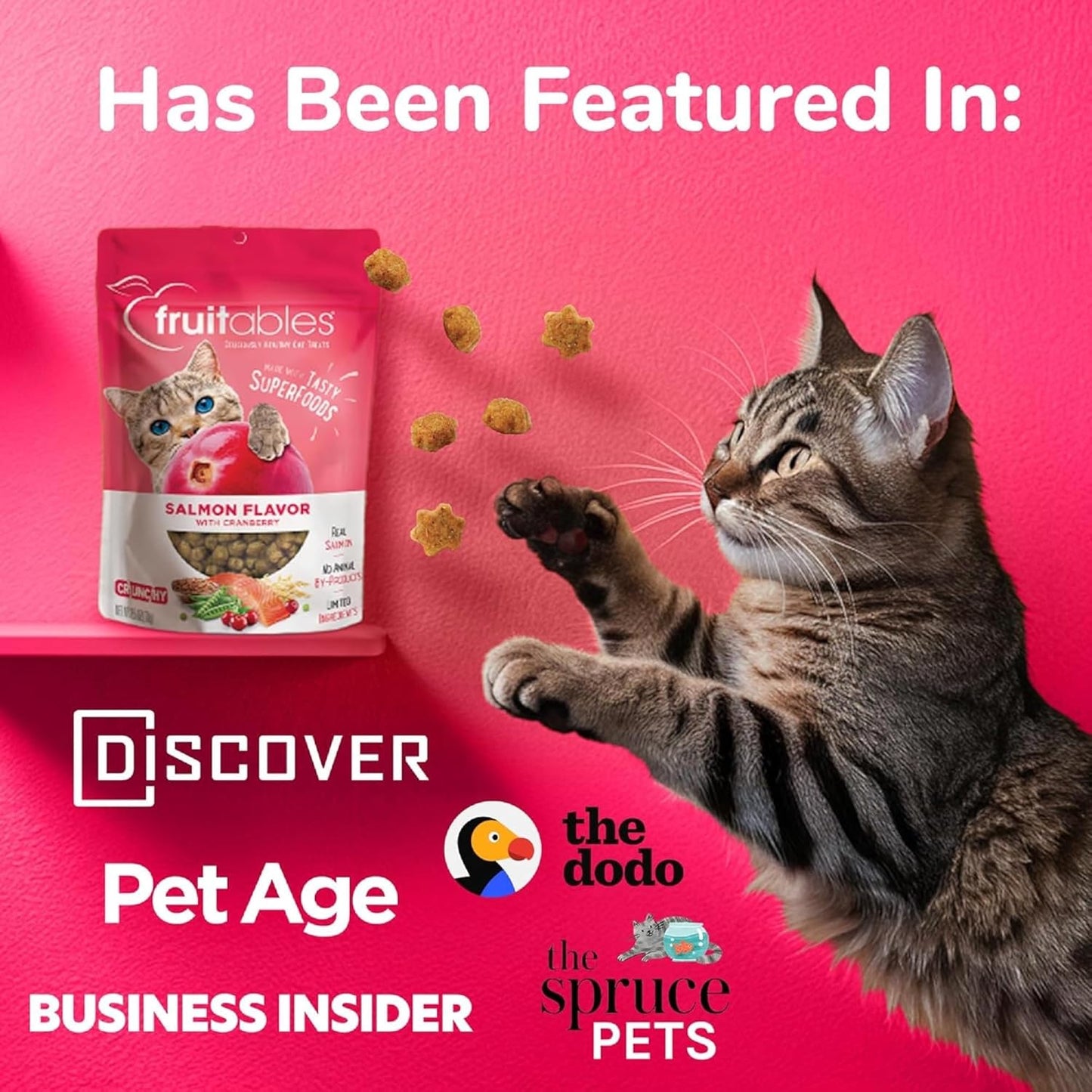 Cat Crunchy Treats for Cats – Healthy Low Calorie Packed with Protein – No Wheat, Corn or Soy – Made with Real Salmon with Cranberry – 2.5 Ounces