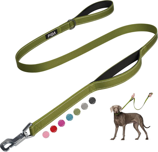5 FT Heavy Duty Dog Leash with 2 Comfortable Padded Handles, Traffic Handle & Advanced Easy Snap Hook, Reflective Walking Lead for Large, Medium & Small Breed Dogs, Green
