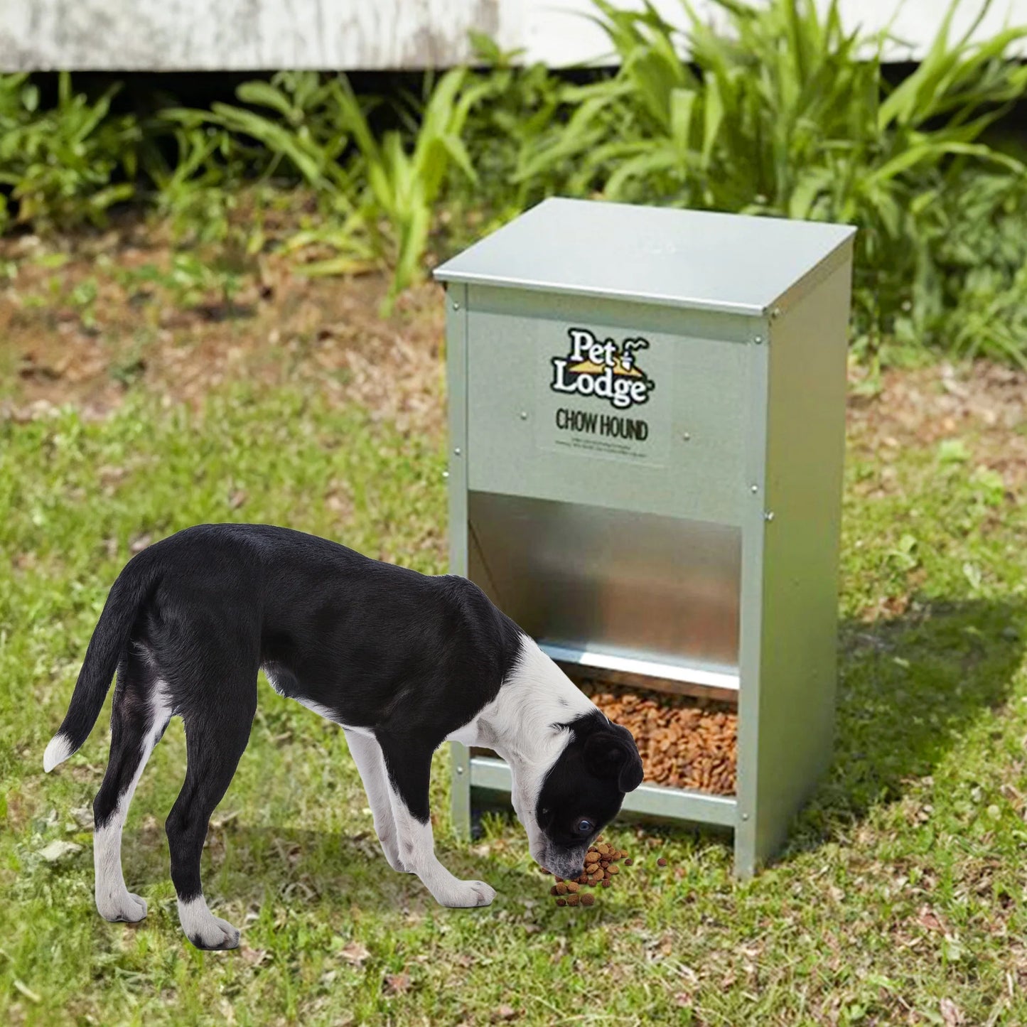 CH50 Pet Feeder, 50 Lb Volume, Galvanized Steel